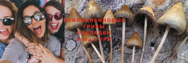 Альфа ПВП Кодинск
