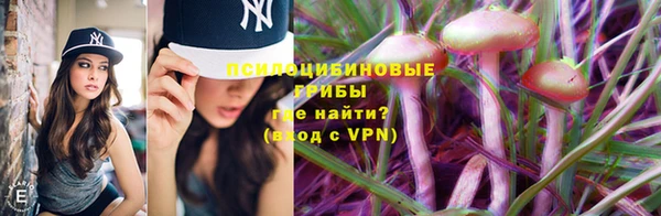 тгк Козловка