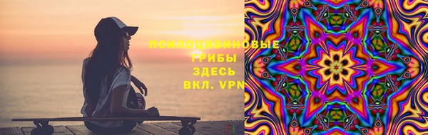 тгк Козловка